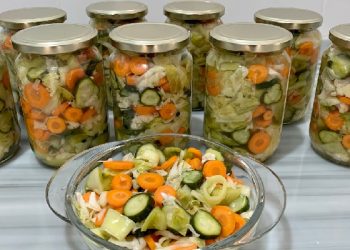 A ju pëlqen sallata turshi, ra receta e thjeshtë, e shpejtë dhe plotë shije