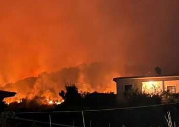 Lushnjë, zjarr i madh në kodrat me ullinj, Balla shkon në vendgjarje