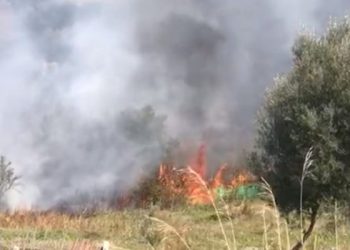 Aktivizohet një vatër zjarri në Darëzezë të Fierit