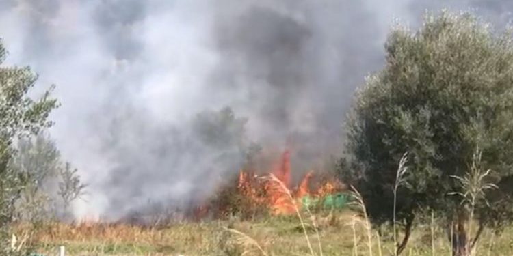 Aktivizohet një vatër zjarri në Darëzezë të Fierit