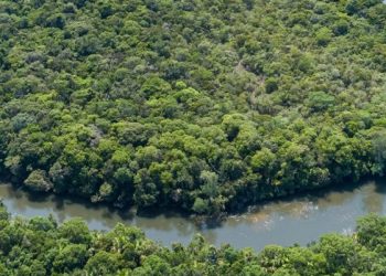 Cili lum është më i gjatë Amazona apo lumi Nil, ekspedita e re vë dyshime