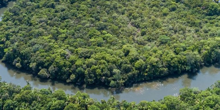 Cili lum është më i gjatë Amazona apo lumi Nil, ekspedita e re vë dyshime