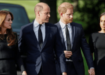 Çfarë do ti bashkoi sërish William, Kate, Harry dhe Meghan