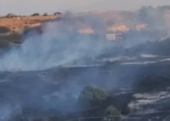 Digjen kodrat me ullinj në Radostinë të Fierit