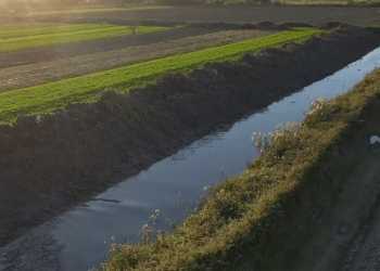 Rama nuk ndalet, këtë të hënë prezanton rregullimin e kanalit kullues në Libofshë të Fierit