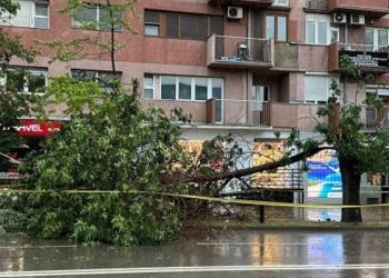 Moti i ligë, Komuna e Prishtinës: Keni kujdes qarkullimin nëpër parqe apo afër pemëve