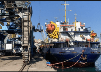 Në Durrës janë bllokuar 270 tonë oriz që vinte nga Vietnami, dyshohet se është me larva