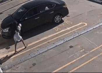 Në Australi kapet mat 26 vjeçarja duke hedhur qenin e saj nga çatia