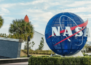 NASA publikon pamje mahnitëse të disa yjeve në formë pemës së Krishtlindjeve