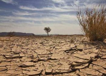 Agjencia Evropiane e Klimës: Edhe ky nëntor arriti rekordet e nxehtësisë Globale