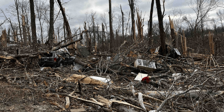 Foshnja 4 muajshe gjendet e gjallë në një pemë pas tornados në Tenesi