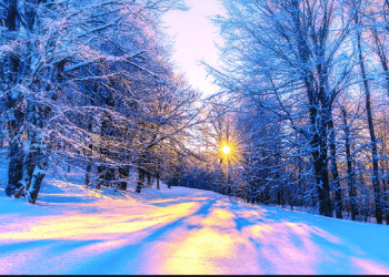 Sot shënohet dita më e shkurtër e vitit, ja çfarë ndodh