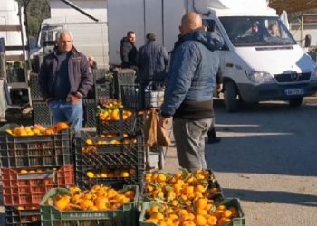 Ankohen tregtarët e Lushnjës: Malli vendas po mbetet pa shitur