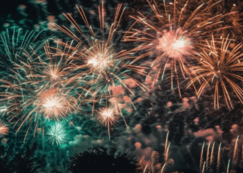 Viti i Ri 2024 në Zelandën e Re