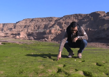 Zbulohen gjurmë 90 mijë vjeçare të njeriut në një plazh të Marokut