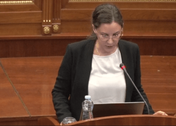 Rizvanolli: Kosova, shteti me çmimin e energjisë elektrike më të lirë në rajon