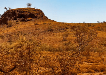 SHBA e Europa ngrinë, Australia përballet me një valë ekstreme të nxehti