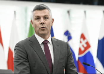 Eurodeputeti Nemec: Në PE do diskutohet e kërkohet hetim i pavarur për zgjedhjet në Serbi