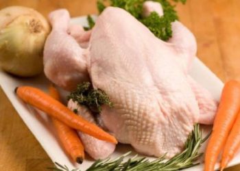 Ja si duhet ta gatuani mishin e pulës