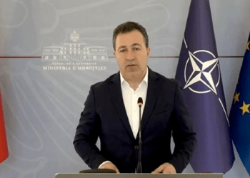 Ministri Peleshi: Shqipëria, aleat i besueshëm i NATO-s