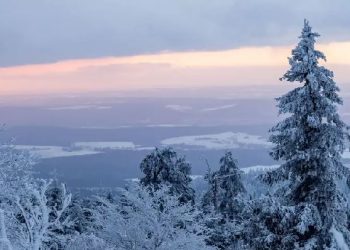 Stuhia e borës paralizon transportin rrugor dhe ajror në Gjermani