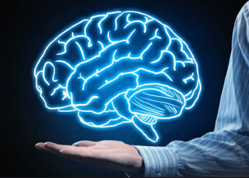 Shkenca zbulon 7 përforcuesit e trurit që forcojnë aftësinë mendore