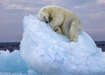 Fotografia e Nima Sarikhani zgjidhet e para për vitin 2023