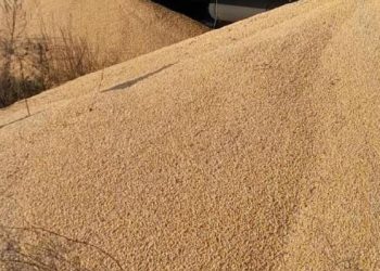 Zëvendëskryeministri i Ukrainës: Rreth 160 tonë drithë ukrainas u shkatërruan në Poloni