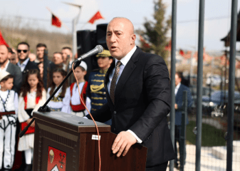 Zbulohen bustet në Prekaz, Haradinaj: Nëna Sale e baci Hamit, ju faleminderit për shërbimin