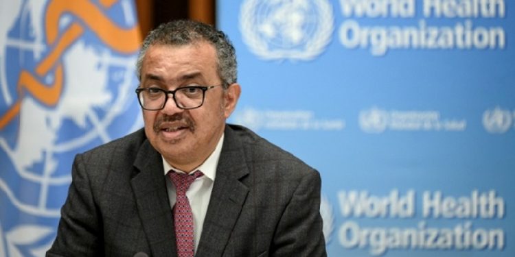 Kreu i OBSH-së: Të ketë armëpushim të menjëhershëm në Gaza