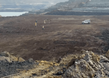 Zbulohen fosilet e një gjarpëri të zhdukur gjigand në Indi