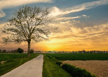 Marsi muaji i 10-të radhazi më i nxehti në histori