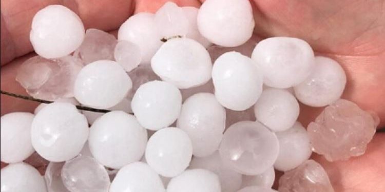 Bie breshër i madh në Rahovec