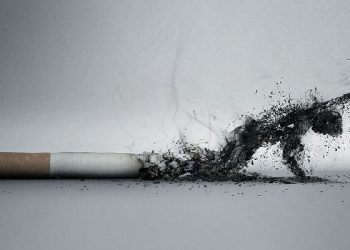 31 maji, Dita Botërore kundër duhanit