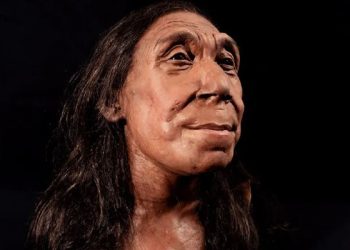 Ja si dukej fytyra e një gruaje para 75 mijë viteve