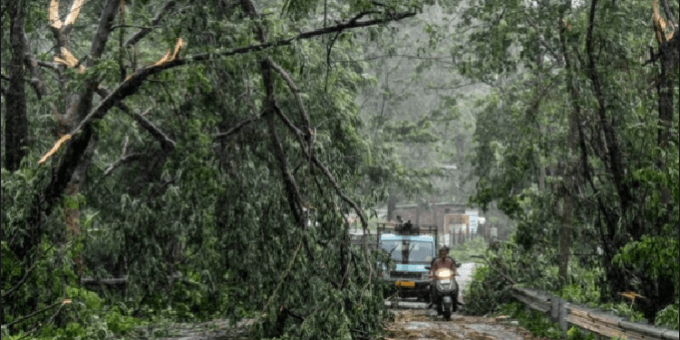 Së paku 17 të vdekur nga shembja e një guroreje në Indi