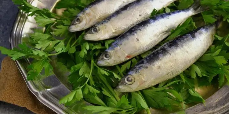 Sallatë e shpejtë me sardele, shije fantastike