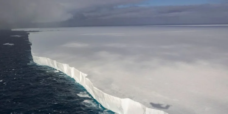 Zbulimi i çuditshëm në Antarktidë, shkencëtarët gjejnë ekosistem të paprekur nga drita poshtë ajsbergut