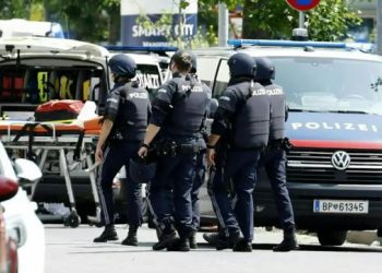 Presidenti i Austrisë pas rastit tragjik: Ajo që ndodhi sot në një shkollë në Graz, goditi zemrën e vendit tonë