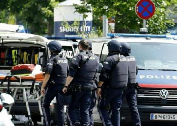 Çfarë kanë mësuar deri më tani hetuesit austriakë rreth sulmuesit në Graz