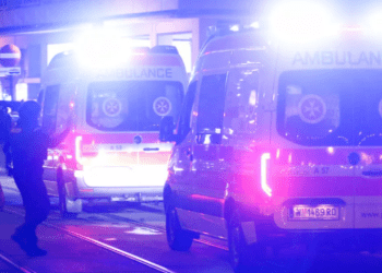 Rrëzohet aeroplani në Austri, të paktën katër të vdekur