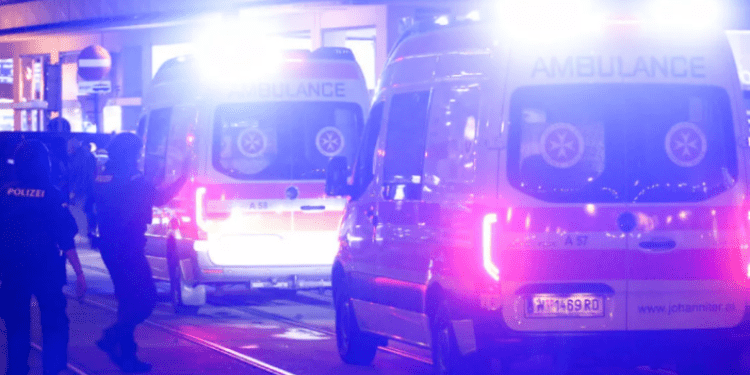 Rrëzohet aeroplani në Austri, të paktën katër të vdekur