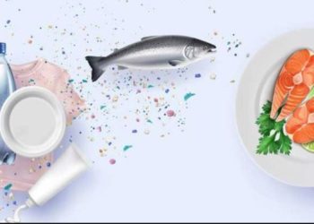 Nuk do ta besoni rezultatin e studimit të fundit, këto janë ushqimet që përmbajnë më shumë plastikë