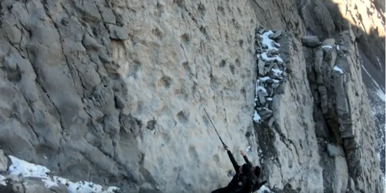 Mijëra gjurmë dinosaurësh 210 milionë vjeçare u zbuluan në një mal në Itali