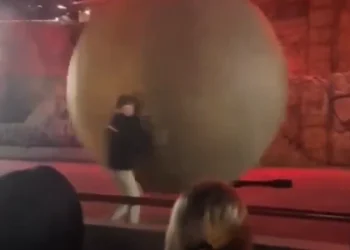 VIDEO / Incident në Disney World, punëtori goditet nga një top 180 kg